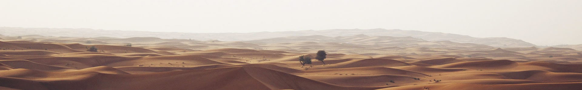 װν޹˾